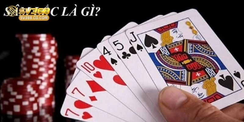 Sâm Lốc Tại SV368 – Bí Quyết Giúp Thắng Đậm Game Bài Cá Cược