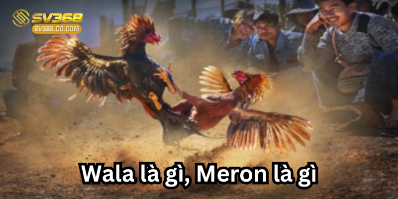 Wala là gì? Meron là gì? có dễ hiểu