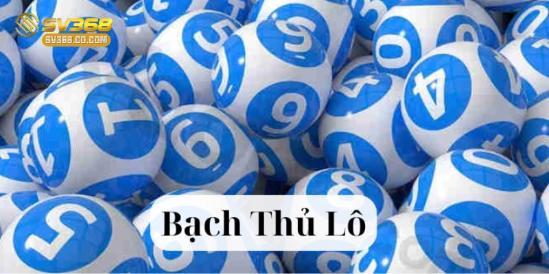 Bạch Thủ Lô là gì?