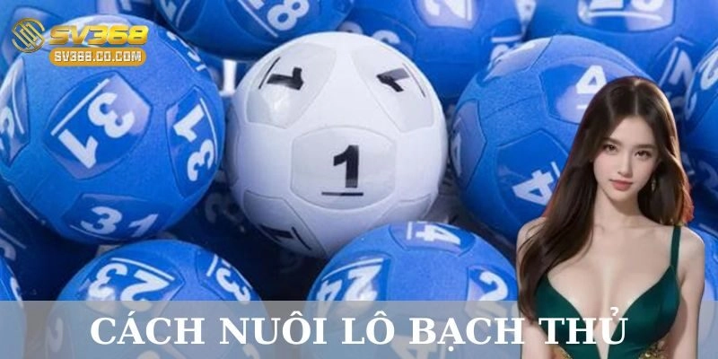 Những sai lầm thường gặp khi nuôi lô bạch thủ