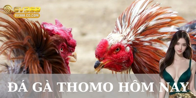 Kinh nghiệm đặt cược cho người mới