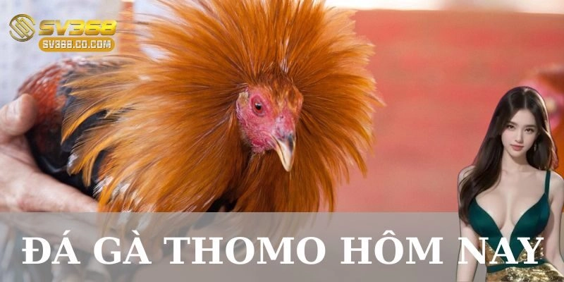 Lịch đấu và sự kiện nổi bật trong ngày