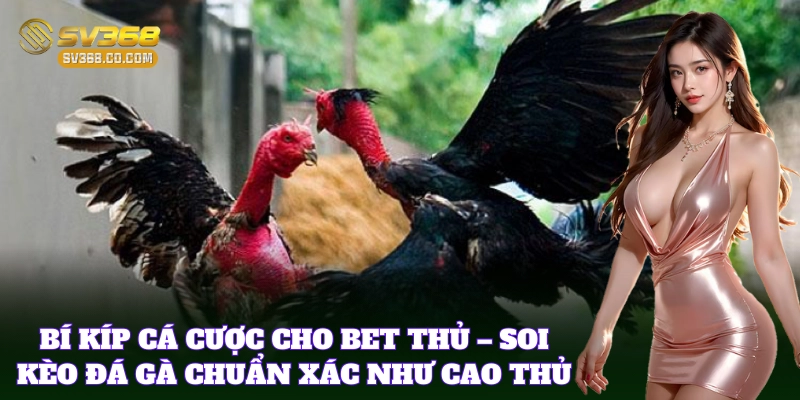 Soi Kèo Đá Gà Chuẩn Xác – Mẹo Cá Cược Thành Công Tại SV368