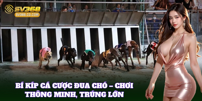 Cá Cược Đua Chó SV368 – Trải Nghiệm Tỷ Lệ Cược Hấp Dẫn