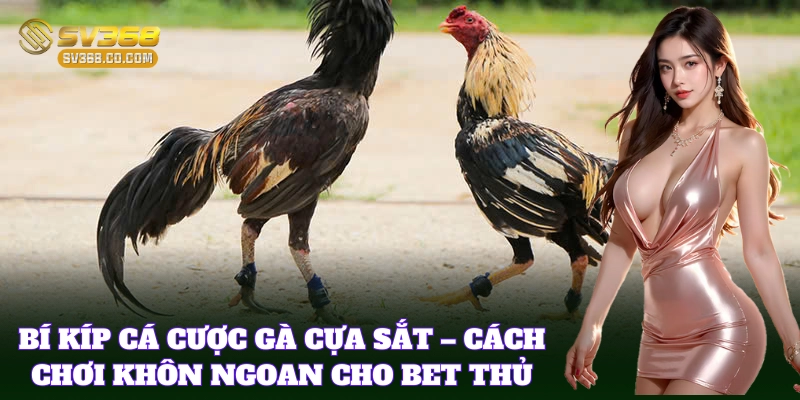 Các Giống Gà Cựa Sắt – Top Chiến Kê Đỉnh Cao Trong Đá Gà