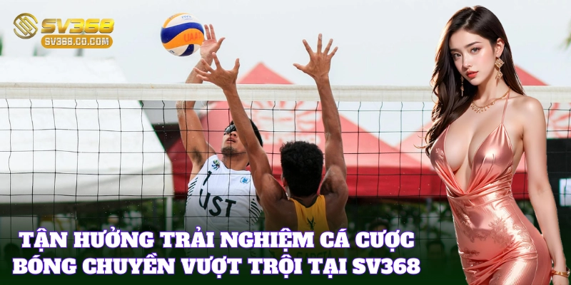 Cá Cược Bóng Chuyền siêu hot tại các nhà cái uy tín