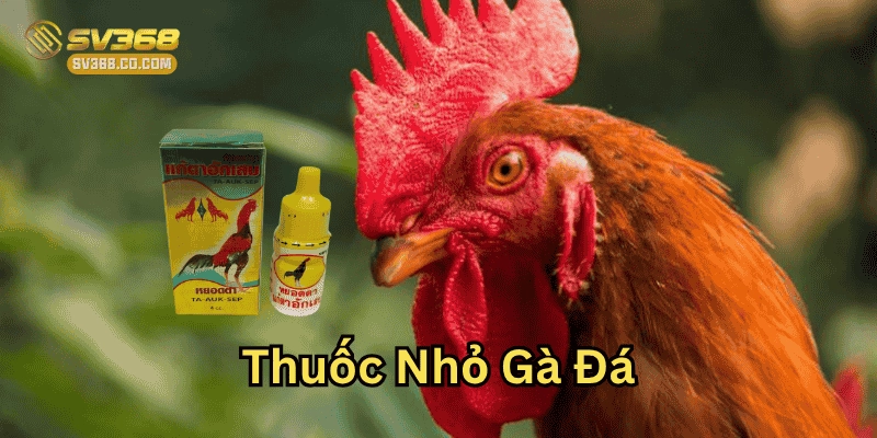 Thuốc Nhỏ Gà Đá loại nào hiệu quả